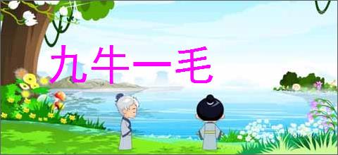九牛一毛