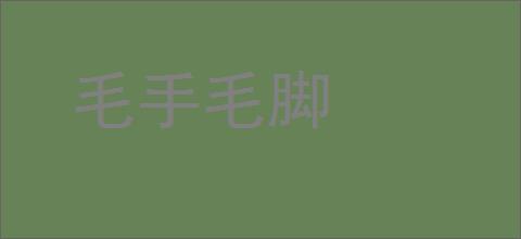 毛手毛脚