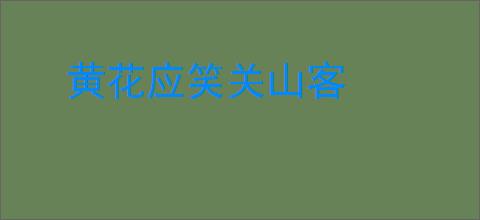 黄花应笑关山客