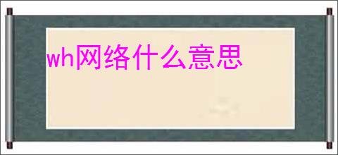 wh网络什么意思