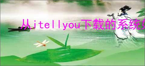 从itellyou下载的系统如何安装