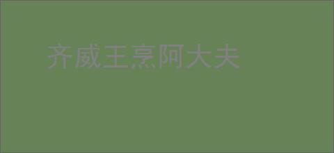 齐威王烹阿大夫