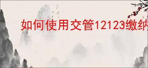 如何使用交管12123缴纳电动车罚款