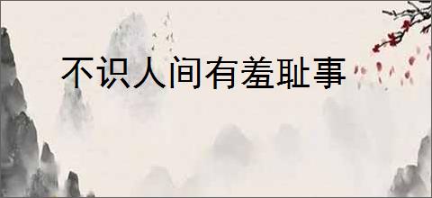 不识人间有羞耻事