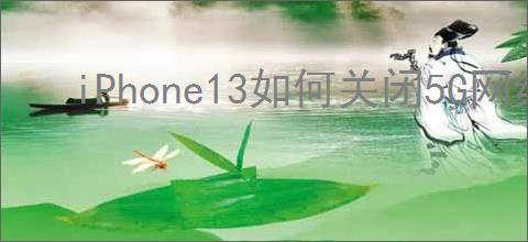 iPhone13如何关闭5G网络