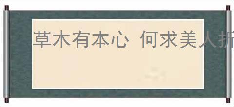 草木有本心 何求美人折