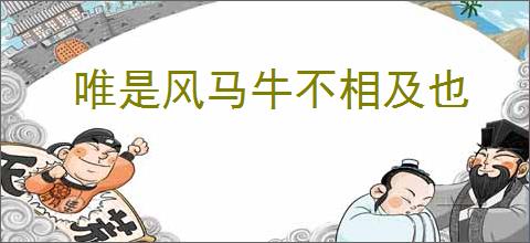 唯是风马牛不相及也