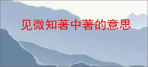 见微知著中著的意思