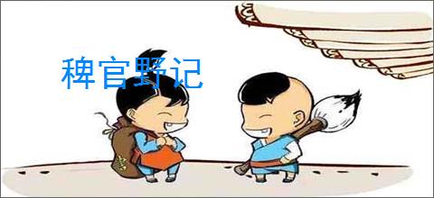稗官野记