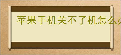 苹果手机关不了机怎么办
