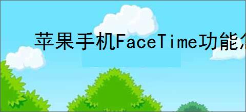 苹果手机FaceTime功能怎么关闭