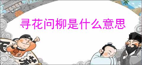寻花问柳是什么意思