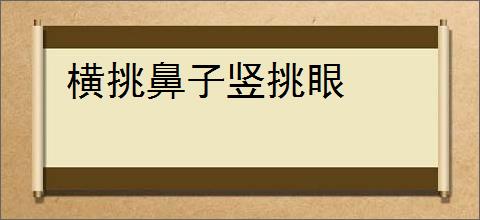 横挑鼻子竖挑眼