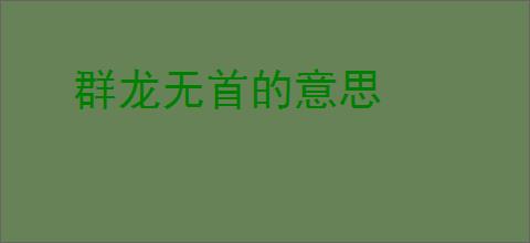 群龙无首的意思