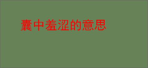 囊中羞涩的意思