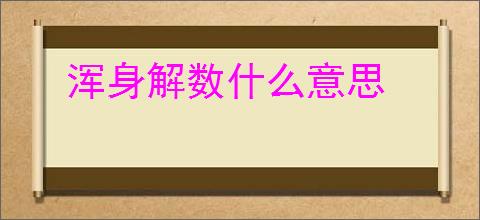 浑身解数什么意思