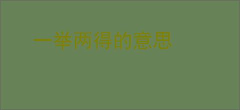 一举两得的意思