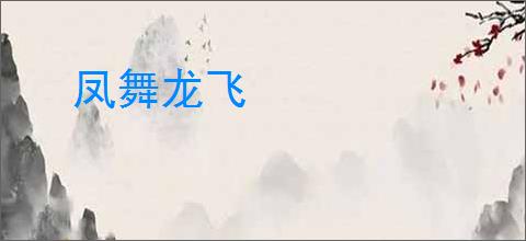 凤舞龙飞