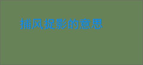 捕风捉影的意思