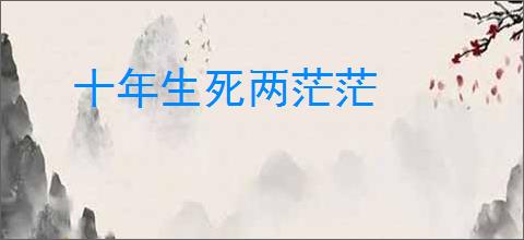 十年生死两茫茫