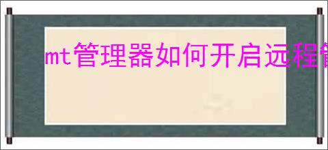 mt管理器如何开启远程管理