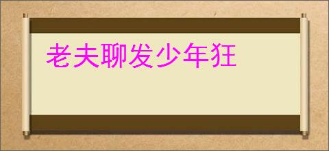 老夫聊发少年狂