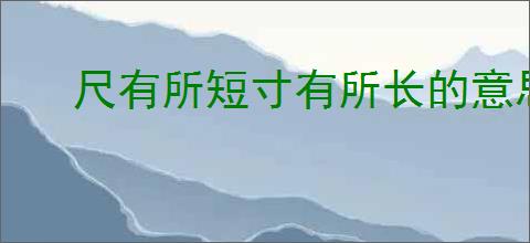 尺有所短寸有所长的意思