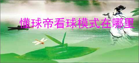 懂球帝看球模式在哪里