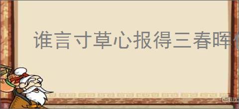 谁言寸草心报得三春晖什么意思