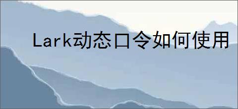 Lark动态口令如何使用