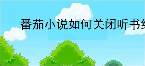 番茄小说如何关闭听书结束后推荐书籍