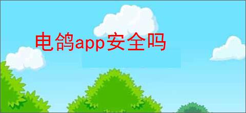 电鸽<strong>APP</strong>安全吗