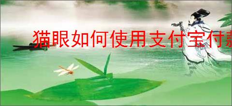 猫眼如何使用支付宝付款