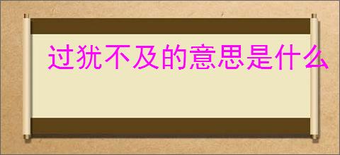 过犹不及的意思是什么