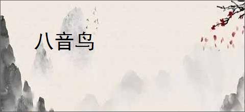 八音鸟