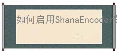 如何启用ShanaEncoder额外的立体声功能