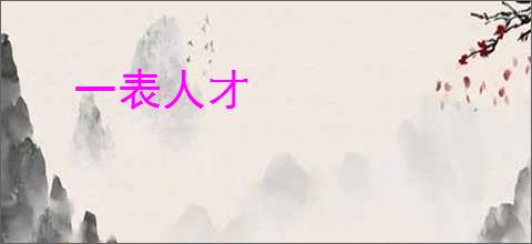 一表人才