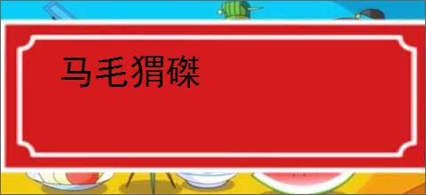 马毛猬磔