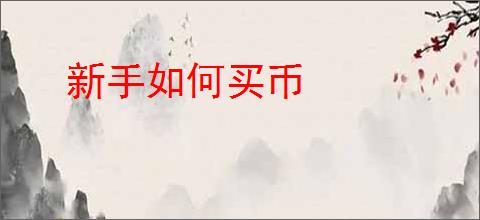 新手如何买币