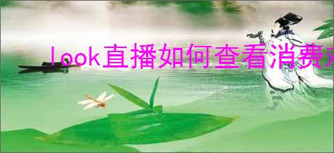 look直播如何查看消费对象
