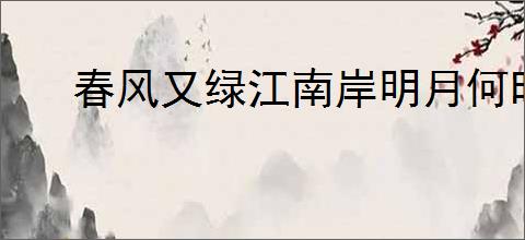 春风又绿江南岸明月何时照我还