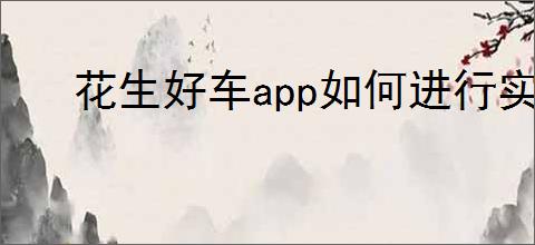 花生好车<strong>APP</strong>如何进行实名认证