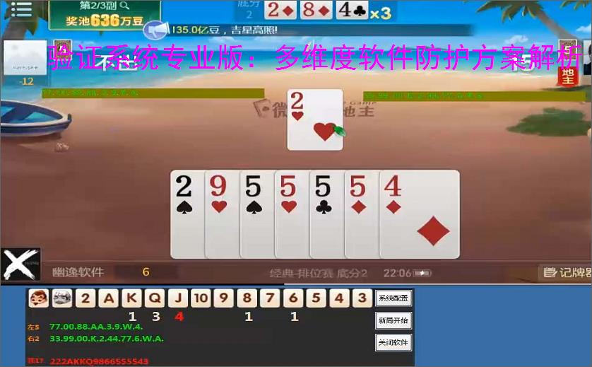 验证系统专业版：多维度软件防护方案解析