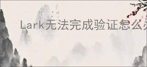 Lark无法完成验证怎么办