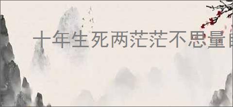 十年生死两茫茫不思量自难忘