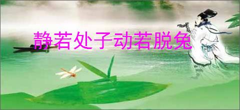 静若处子动若脱兔