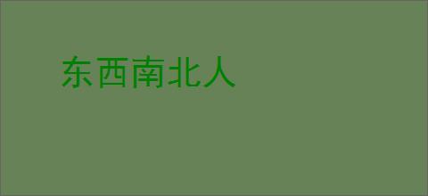 东西南北人