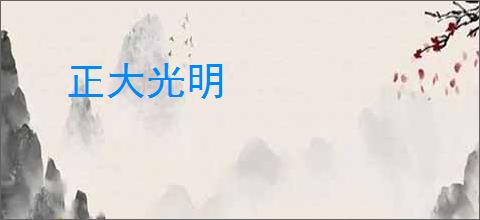 正大光明