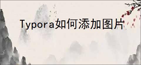 Typora如何添加图片