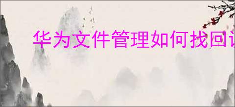 华为文件管理如何找回误删文件